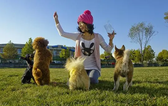 窈跳淑女剧照