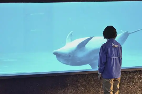 水族馆女孩剧照