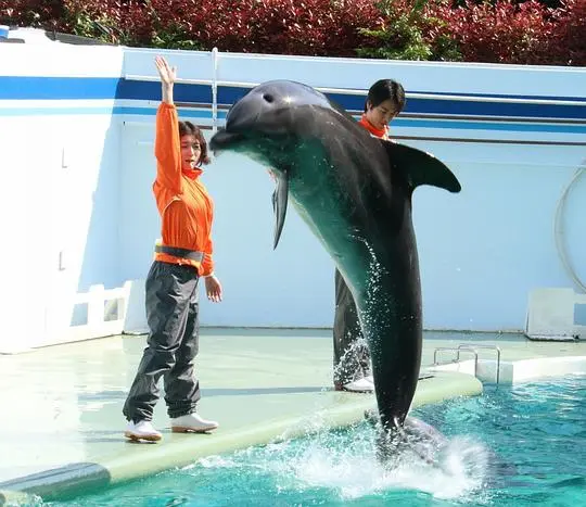 水族馆女孩剧照