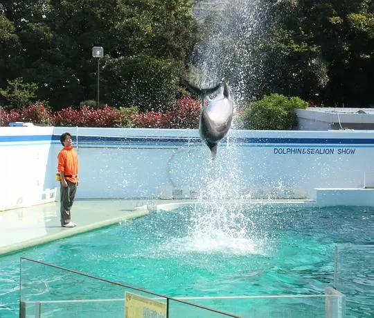 水族馆女孩剧照